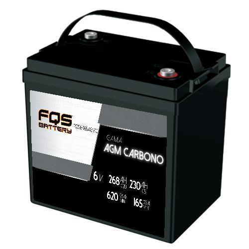 Batería FQS Original Edition FQS60 12v 60Ah